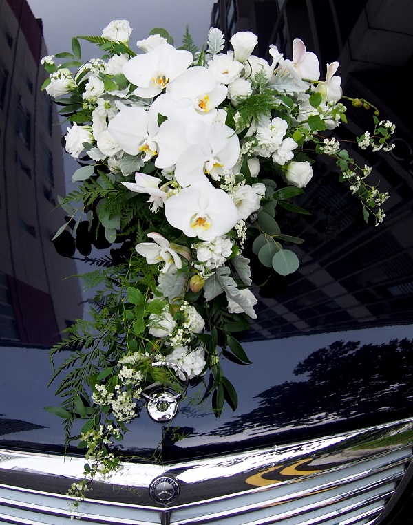 Ý nghĩa của các loại hoa trang trí xe cưới phổ biến