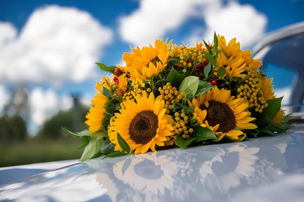 Ý nghĩa của các loại hoa trang trí xe cưới phổ biến